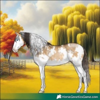Horse Color:White Spotted Buckskin Dun Splash Rabicano 