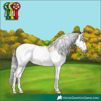 Horse Color:Gray White Spotted Buckskin Dun Tobiano Rabicano