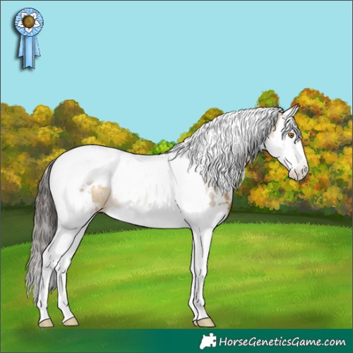 Horse Color:White Spotted Buckskin Dun Splash Tobiano Rabicano 