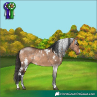 Horse Color:White Spotted Bay Dun Rabicano 