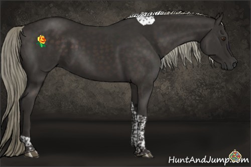 Horse Color:Liver Chestnut Tobiano 