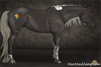 Horse Color:Liver Chestnut Tobiano 