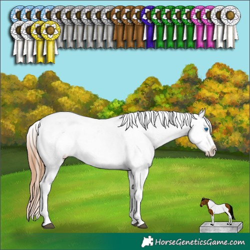 Horse Color:White Spotted Brown Pearl Dun Splash Tobiano Near Leopard Rabicano