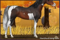 Horse Color:Brown Sabino Tobiano 