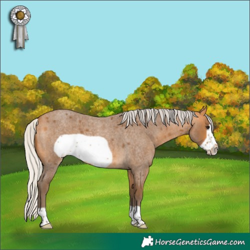 Horse Color:Silver Buckskin Roan Frame 
