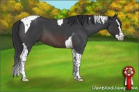 Horse Color:Brown Roan Splash Tobiano 