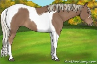 Horse Color:Chestnut Mushroom Tobiano 
