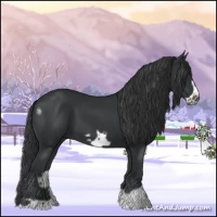 Horse Color:Black Frame