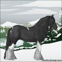 Horse Color:Black Tobiano 