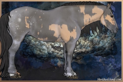 Horse Color:Bay Dun and Grullo