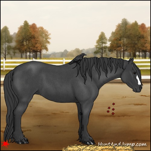 Horse Color:Blue Roan 