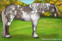 Horse Color:White Spotted Silver Brown Roan 