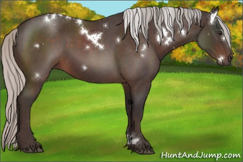 Horse Color:White Spotted Silver Brown Roan