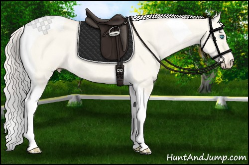 Horse Color:Cremello Dun Tobiano