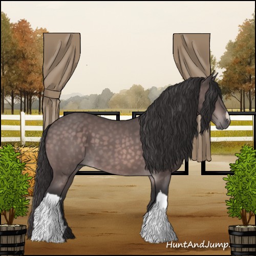 Horse Color:Platinum Buckskin 
