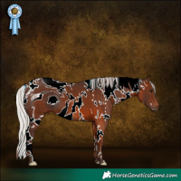 Horse Color:ERROR: UNKNOWN ANOMALY