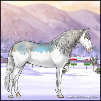Horse Color:Silver Blue Roan Pearl Splash 