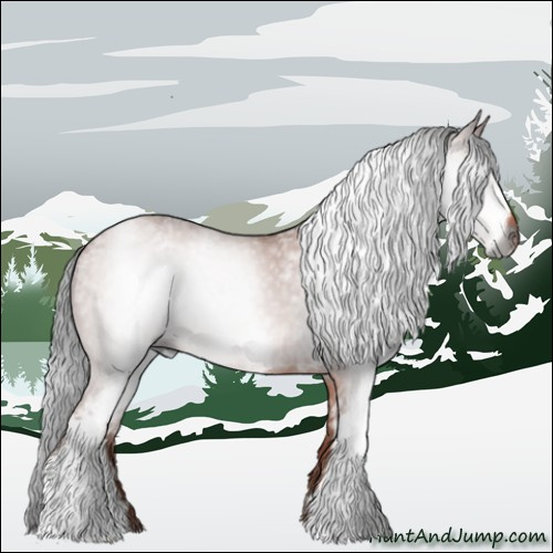 Horse Color:Gray White Spotted Brown 