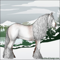 Horse Color:Gray White Spotted Brown