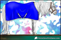 Horse Color:Silver Brown Tobiano Appaloosa 