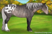 Horse Color:Platinum Silver Buckskin Blanket Rabicano 
