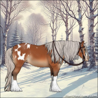 Horse Color:Silver Bay Appaloosa 