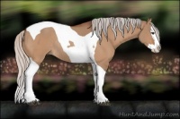 Horse Color:Silver Brown Dun Sabino Splash Tobiano Rabicano 