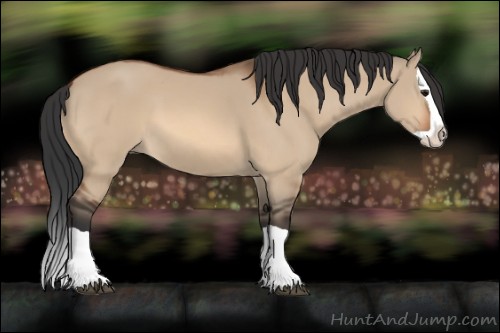 Horse Color:Bay Dun Splash