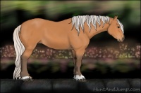 Horse Color:Silver Bay 