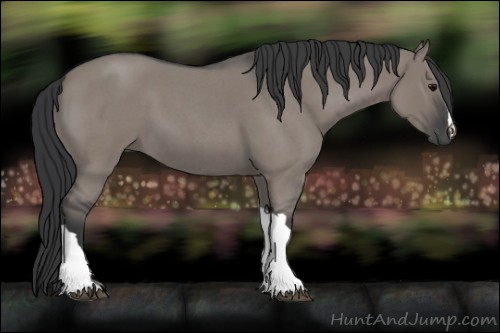 Horse Color:Grullo Roan 