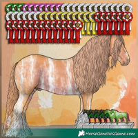 Horse Color:Watercolor White Spotted Liver Chestnut Ice Tobiano Rabicano