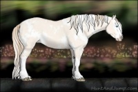 Horse Color:White Spotted Perlino Dun Splash 