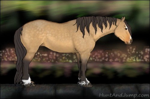 Horse Color:Buckskin Dun Sabino