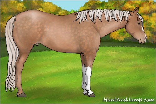 Horse Color:Silver Brown Pearl 