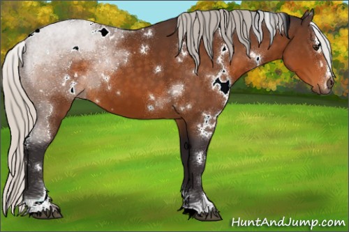 Horse Color:White Spotted Silver Buckskin Sabino 