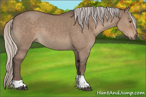 Horse Color:Silver Grullo Tobiano 