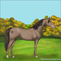 Horse Color:Classic Champagne 