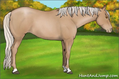 Horse Color:Silver Blue Roan Pearl 