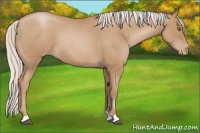 Horse Color:Silver Blue Roan Pearl 