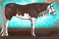 Horse Color:Silver Brown Splash 