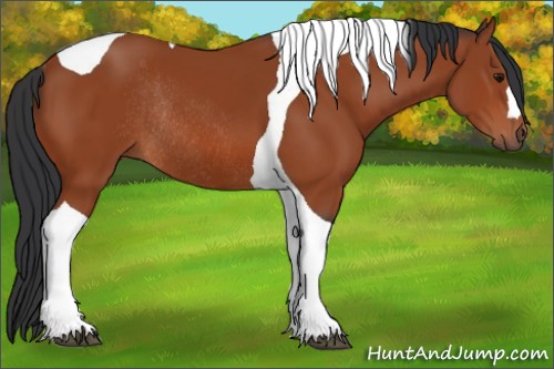 Horse Color:Bay Tobiano Rabicano 