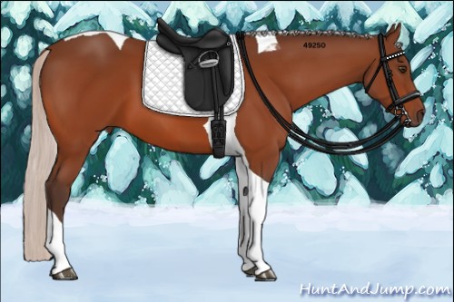 Horse Color:Silver Brown Tobiano 
