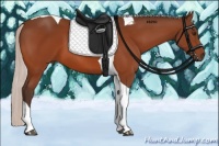 Horse Color:Silver Brown Tobiano 