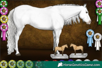Horse Color:Silver Brown Dun Tobiano Appaloosa 