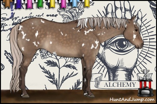 Horse Color:White Spotted Silver Brown Dun 