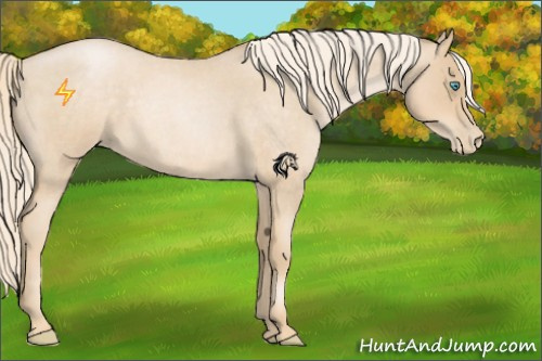 Horse Color:Palomino Roan Pearl 