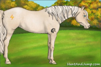 Horse Color:Palomino Roan Pearl