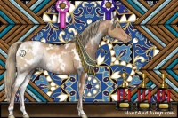 Horse Color:White Spotted Liver Chestnut Pearl Appaloosa 