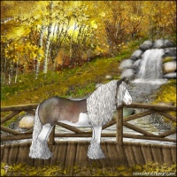 Horse Color:Liver Chestnut Mushroom Splash 