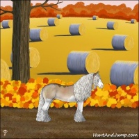 Horse Color:Liver Red Dun Mushroom Splash